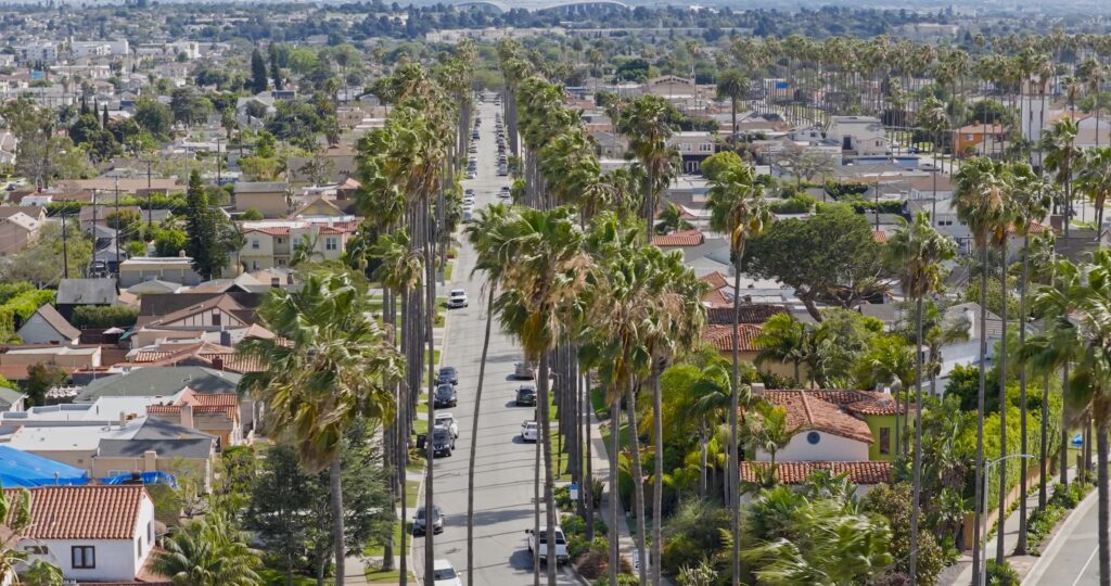 Flat Roof Care in West Los Angeles: What Property Owners Should Know