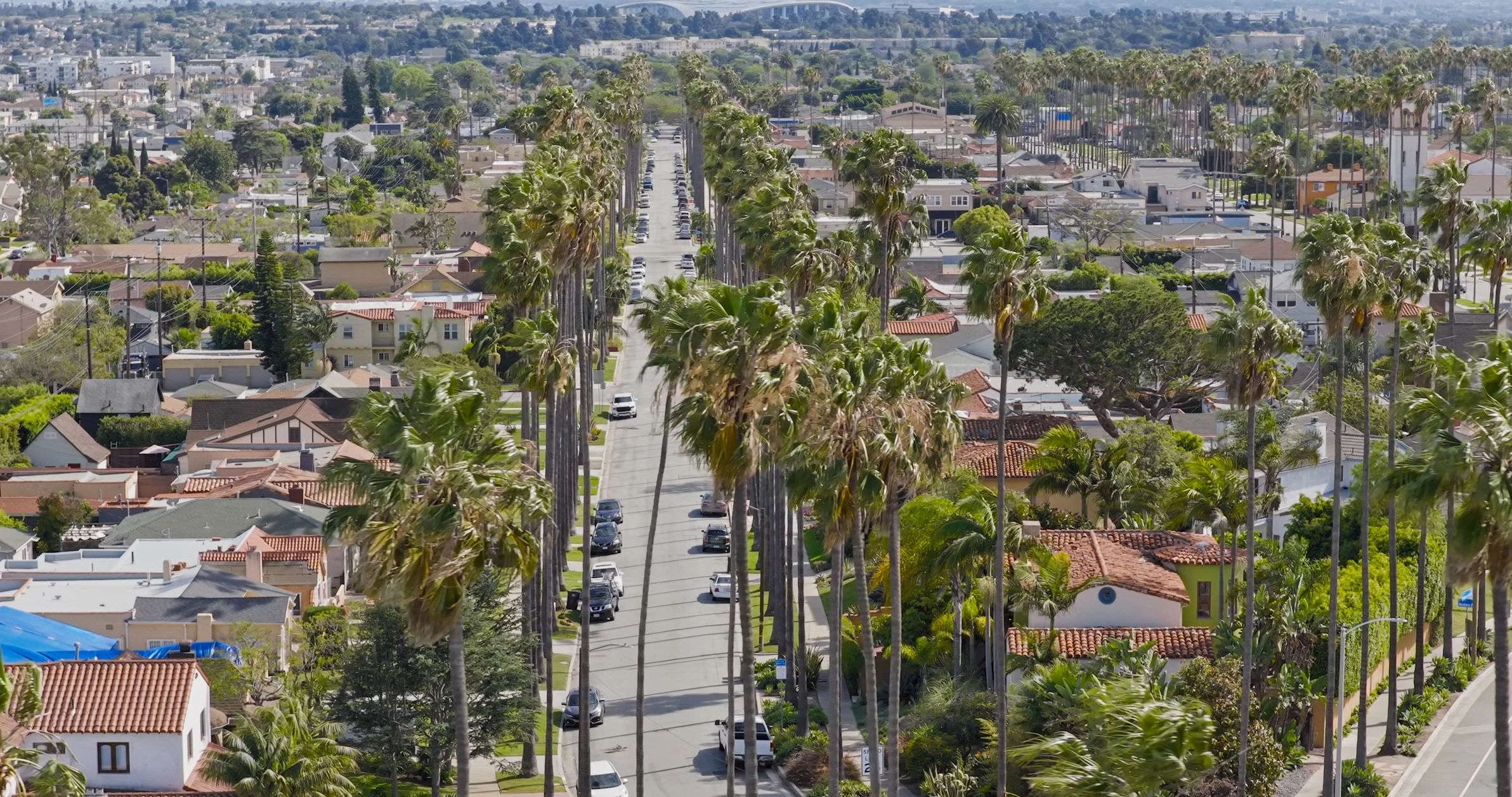 Aerial View of Palm Tree-Lined Boulevard in Los Angeles, California
